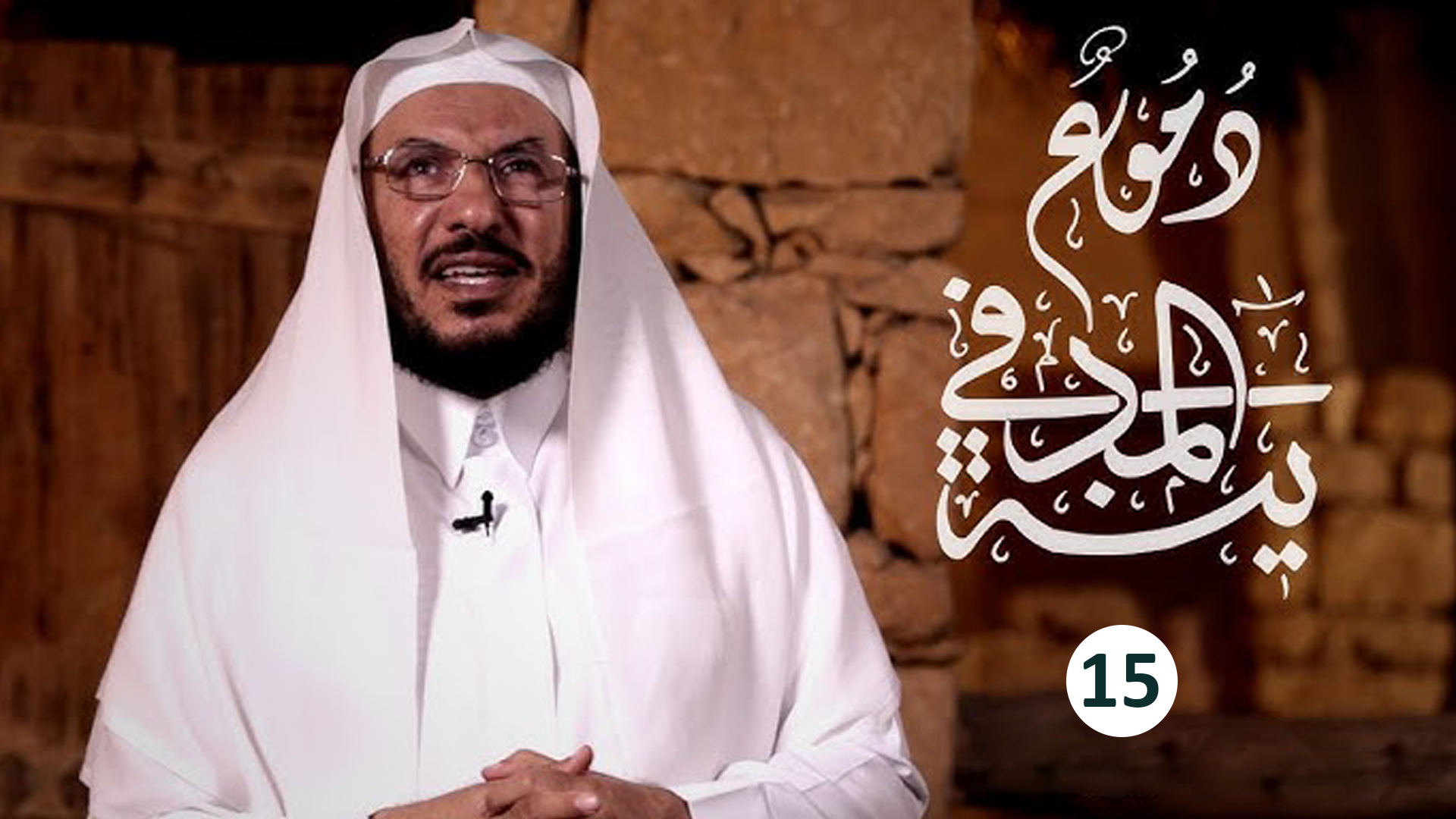 حلقة 15